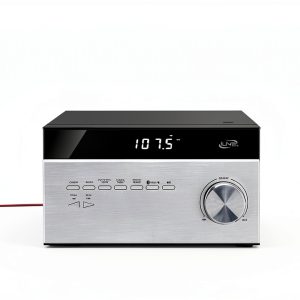 Digital Products International, Inc. Compact Home Stereo-0
